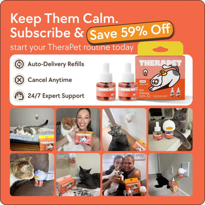TheraPet refill för katter